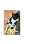 悪ガキのお返事（個別スタンプ：7）