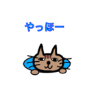 毎日使えるゆるゆる猫ちゃん（個別スタンプ：5）