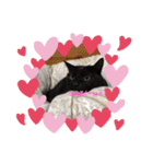猫好きの猫（個別スタンプ：5）