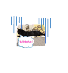 猫好きの猫（個別スタンプ：6）