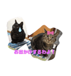 猫好きの猫（個別スタンプ：9）