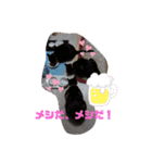 猫好きの猫（個別スタンプ：13）