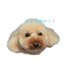 ゆぷさん元気でぷ〜（個別スタンプ：3）