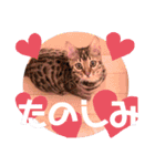 キキちゃんの毎日使えるスタンプ②（個別スタンプ：4）