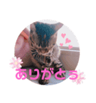 キキちゃんの毎日使えるスタンプ②（個別スタンプ：5）