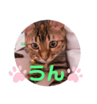 キキちゃんの毎日使えるスタンプ②（個別スタンプ：6）