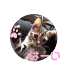 キキちゃんの毎日使えるスタンプ②（個別スタンプ：10）