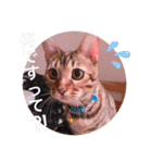 キキちゃんの毎日使えるスタンプ②（個別スタンプ：14）