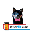 Yamato Shibata（個別スタンプ：1）