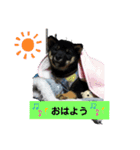 Yamato Shibata（個別スタンプ：3）