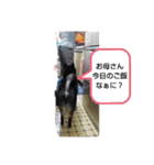 Yamato Shibata（個別スタンプ：6）
