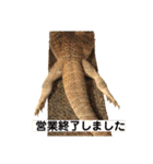 えびちゃんのスタンプ（個別スタンプ：9）