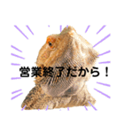 えびちゃんのスタンプ（個別スタンプ：10）