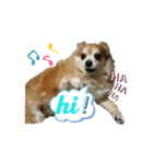 ぷやもなスタンプ（個別スタンプ：8）