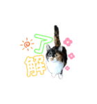 ぷやもなスタンプ（個別スタンプ：22）