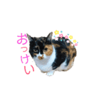 ぷやもなスタンプ（個別スタンプ：27）
