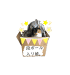 ぷやもなスタンプ（個別スタンプ：28）