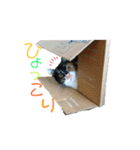 ぷやもなスタンプ（個別スタンプ：33）