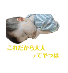 1歳頃までの敦斗（個別スタンプ：30）
