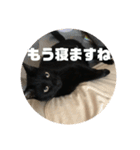黒猫の八雲（個別スタンプ：2）