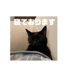 黒猫の八雲（個別スタンプ：4）