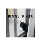黒猫の八雲（個別スタンプ：10）