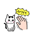 ゆるいねこ、ちーたんのスタンプ（個別スタンプ：36）
