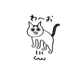 ゆるいねこ、ちーたんのスタンプ（個別スタンプ：39）