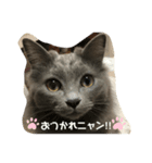 にゃんまろ1（個別スタンプ：6）