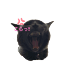 にゃんまろ1（個別スタンプ：7）