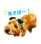 そらくんとあんずさん（個別スタンプ：5）