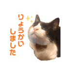 そらくんとあんずさん（個別スタンプ：7）