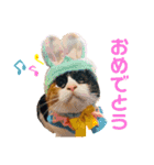 そらくんとあんずさん（個別スタンプ：8）