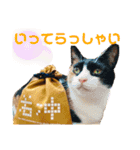 そらくんとあんずさん（個別スタンプ：9）