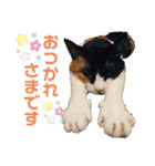 そらくんとあんずさん（個別スタンプ：10）