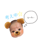 らんちゃんスタンプ♡（個別スタンプ：1）