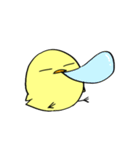 ピヨちゃんすたんぷ。（個別スタンプ：12）