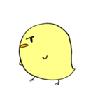 ピヨちゃんすたんぷ。（個別スタンプ：13）