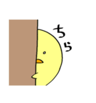 ピヨちゃんすたんぷ。（個別スタンプ：37）