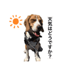 つぶと一言（個別スタンプ：7）
