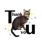 {I'm Baron.}（個別スタンプ：1）