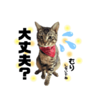 {I'm Baron.}（個別スタンプ：2）