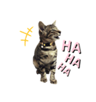 {I'm Baron.}（個別スタンプ：5）