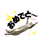 {I'm Baron.}（個別スタンプ：6）