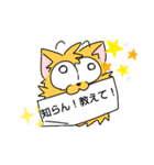 変な犬に教えて（個別スタンプ：11）