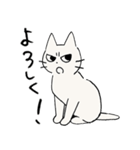 しかるねこ12（日常＋叱る編）（個別スタンプ：4）