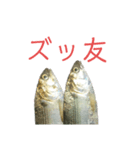 魚の日常スタンプ（個別スタンプ：20）