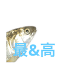 魚の日常スタンプ（個別スタンプ：40）