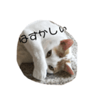 かおりfamily8（個別スタンプ：3）