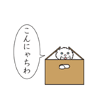 毎日使える動くネコスタンプ（個別スタンプ：15）